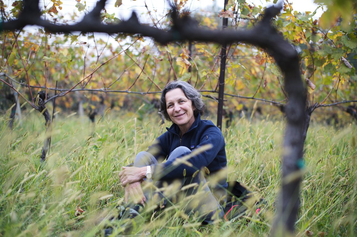 polanerselect's tweet image. We are thrilled to announce we will begin importing the wines of Matilde Poggi of the Le Fraghe winery in the Veneto! She makes soulful and elegant Bardolino, Rosato &amp;amp; Garganega. @le_fraghe 
Photo credit @the_accidental_italian