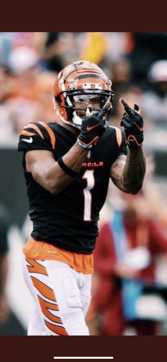emilyesf's tweet photo. @NFL @theNFLcommish this is an exact representation of how Cincinnati feels about you today https://t.co/71ij8nBYmR