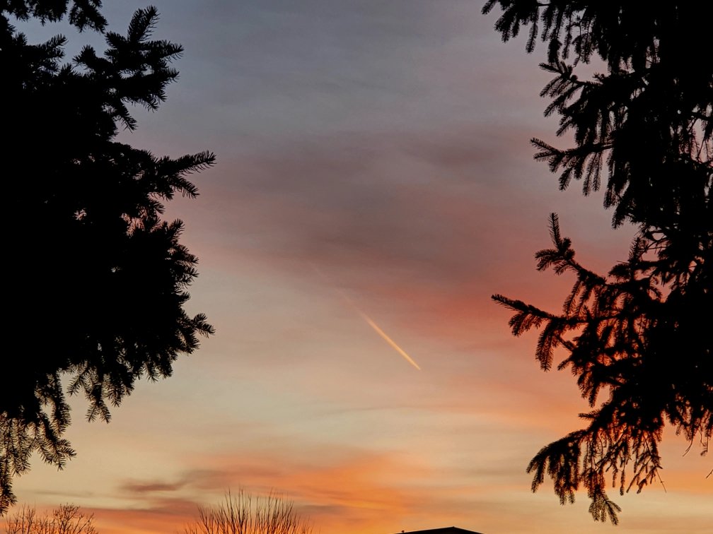 Sally Hanssen tweet media