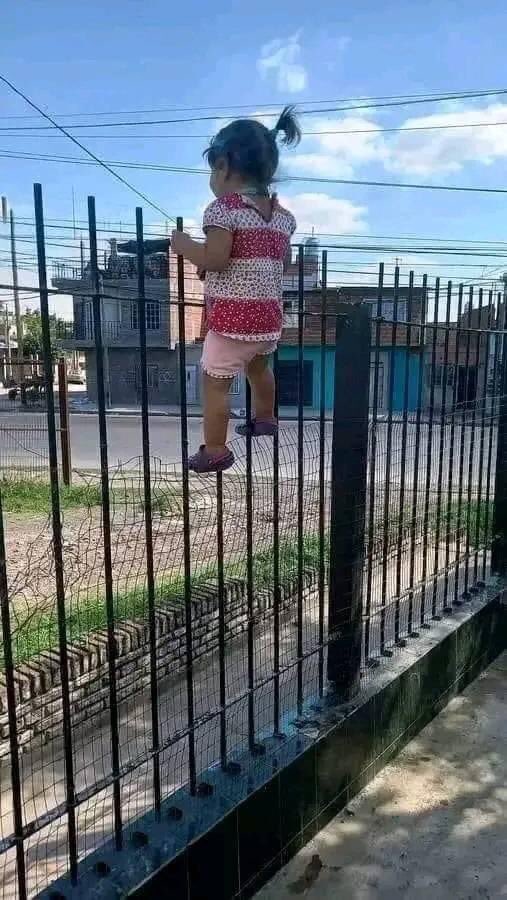 _xmemes's tweet photo. "Sua sobrinha parece tranquila "

Minha sobrinha: https://t.co/gmkY0gv7eh