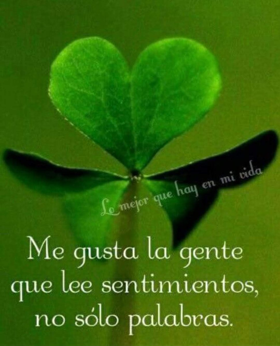 PMallagray's tweet photo. #Sentimientos
#NoPalabras 🪶 https://t.co/rAtZhBWXHl