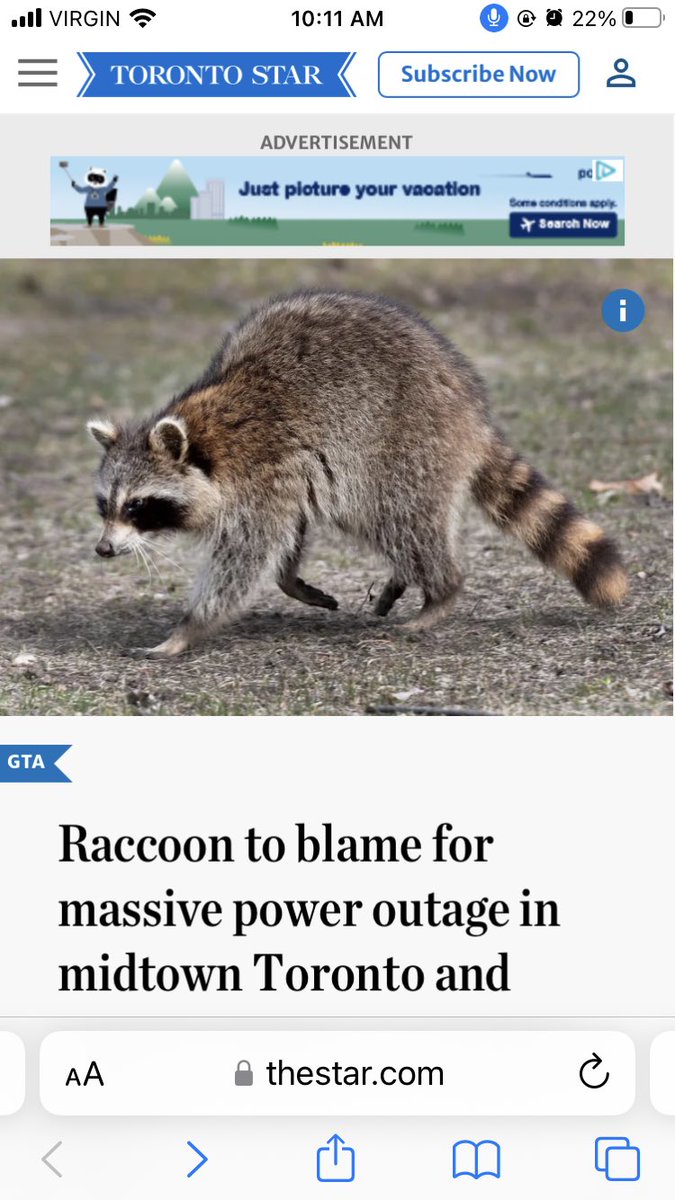 Kim Ryan Makes🌿 tweet media