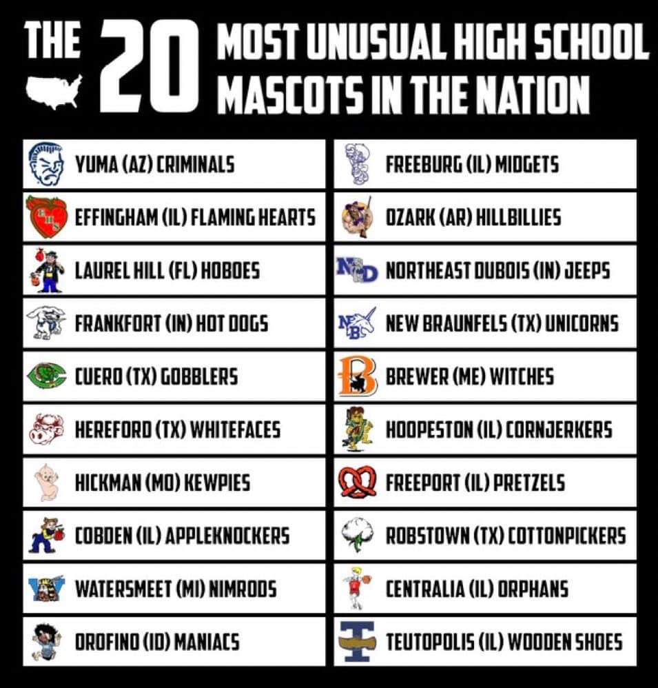 The 20 most unusual high school mascots in the nation!