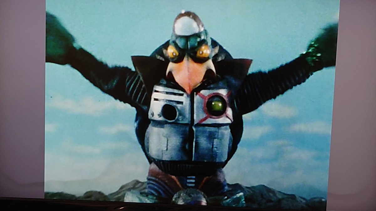 ⭐︎カメ⭐︎ BONZO (@bonzo_n) / Posts / X