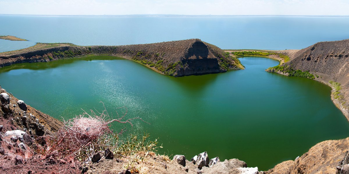 AlvahTours's tweet photo. Kenya has spectacular destinations for wildlife, landscapes, evergreen forest, endless grassy plains and pure beautiful beaches of the world.

#alvahtours #kenya #safari #wildlife #travel #beautiful #bucketlist  #adventure #nature #wanderlust #picoftheday #tourism #tembeakenya https://t.co/DN10Ah3POi