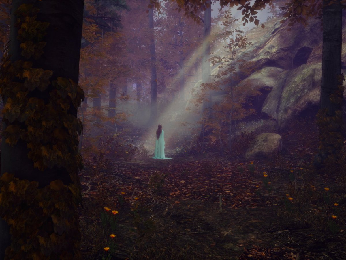 #TheMoodChallenge | <a href="/Visual_Moods/">Visual Moods Central</a>

🎮- #Pluviophile created by <a href="/TongucBodur/">Tonguç Bodur</a> 
📷- UUU Camera Tools by Frans Bouma
🎨- Photoshop
🎤- Enya - The Council of Elrond 
🔗- youtu.be/WqwqnT97Smo 

#VGPUnite #TheCapturedCollective #VirtualPhotography