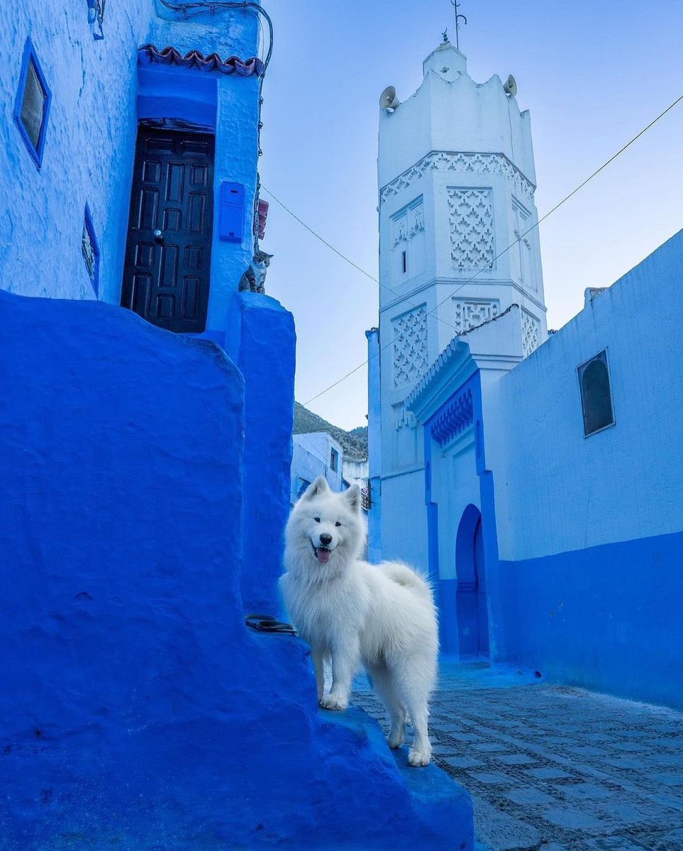 arab11__'s tweet photo. Morocco https://t.co/aBLGbyOdSb