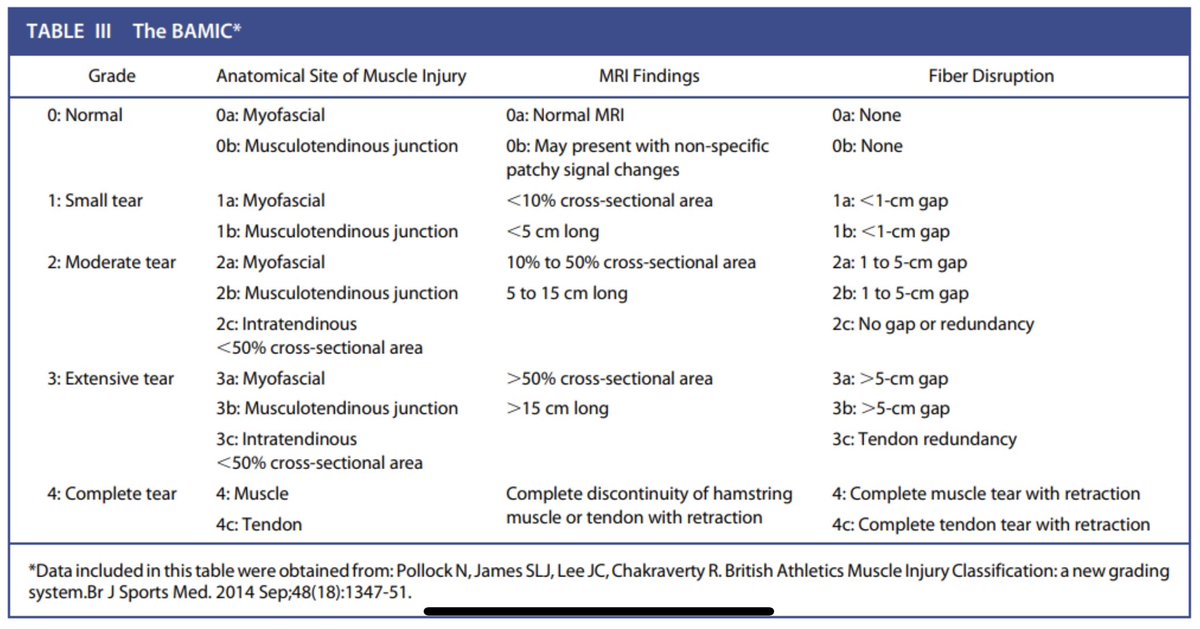ChrisCampMD's tweet photo. #1️⃣ Injury in @MLB/@MiLB baseball: HAMSTRINGS. Too common in others sports as well. See this new @jbjs critical review of best practices for treating these common injuries⬇️

👉 https://t.co/1DfymDeauV

@DMarigsMD @DoctorOkoro @DrKrych @mayoclinicsport @MayoOrtho @MayoOrthoRes https://t.co/KUsudF2eMJ