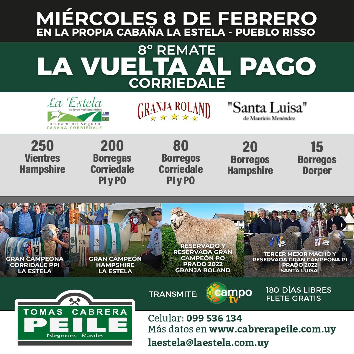 Jorge Andrés Rodríguez (@chanmalevo) on Twitter photo 