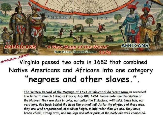 FallBack_TL's tweet image. One Cetshwayo born on St Helena Island, “discovered” by the Portuguese.