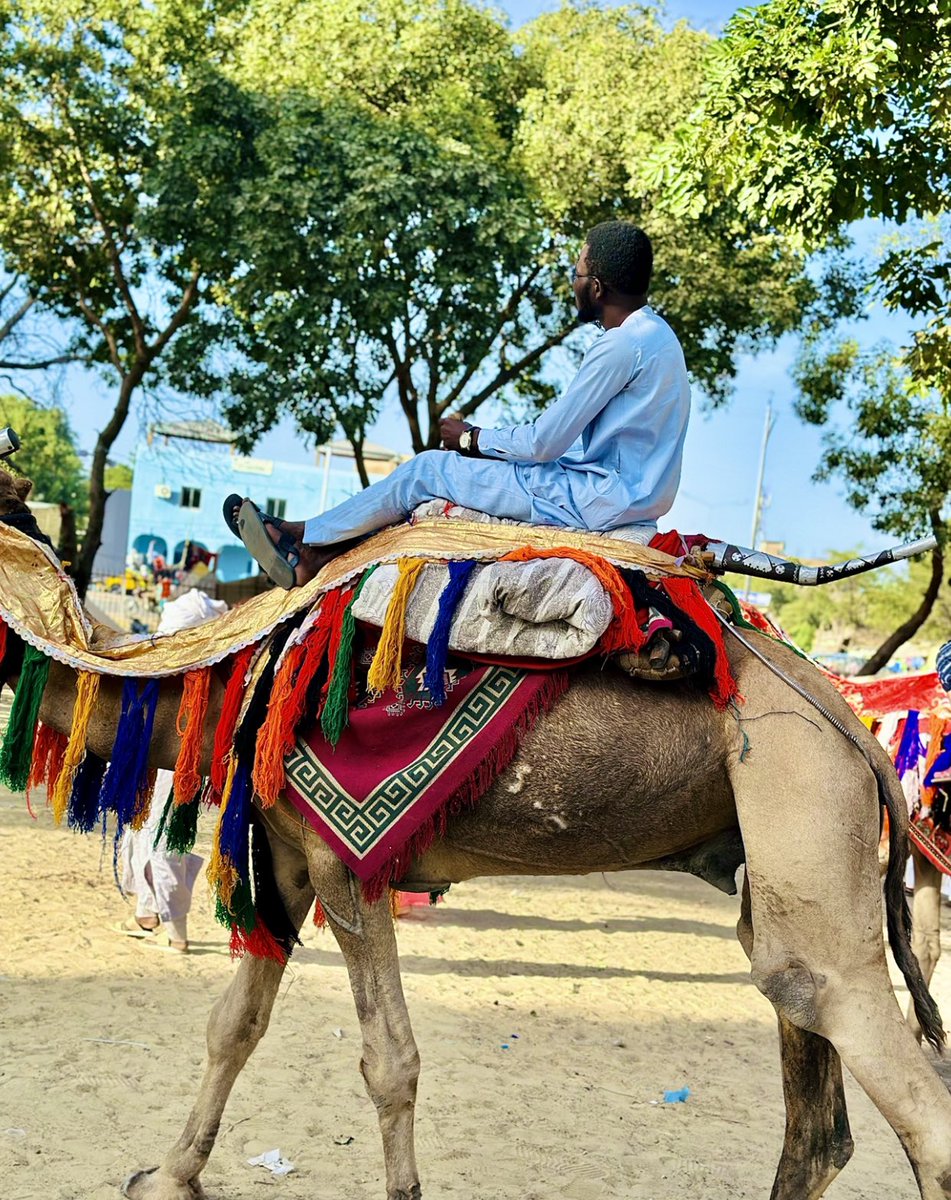 🐪 D’Amdjarass à Faya, du Borkou au Tibesti, je viens du sahel, la culture nomade coule dans mes veines 🇹🇩 #Tchad !