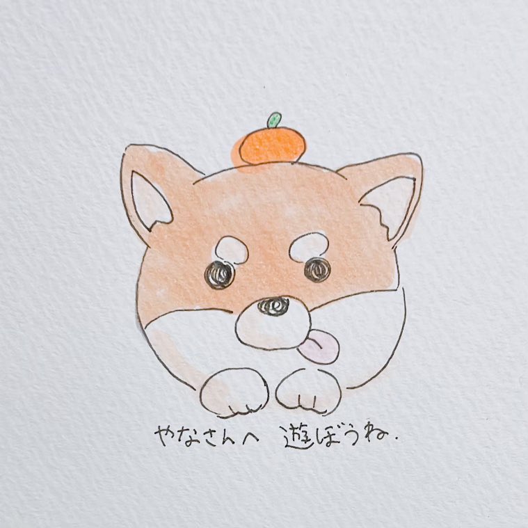 no humans dog mandarin orange food object on head fruit food on head  illustration images