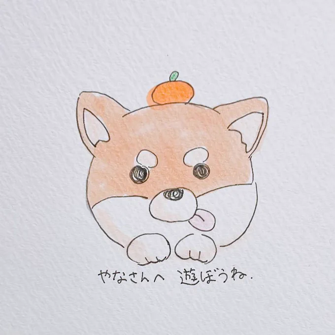  今年は仕事休んでこゆきと遊んでください! 