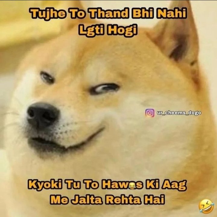 siyapaqueen12's tweet image. #tagsomeone 🤣😏😏😏