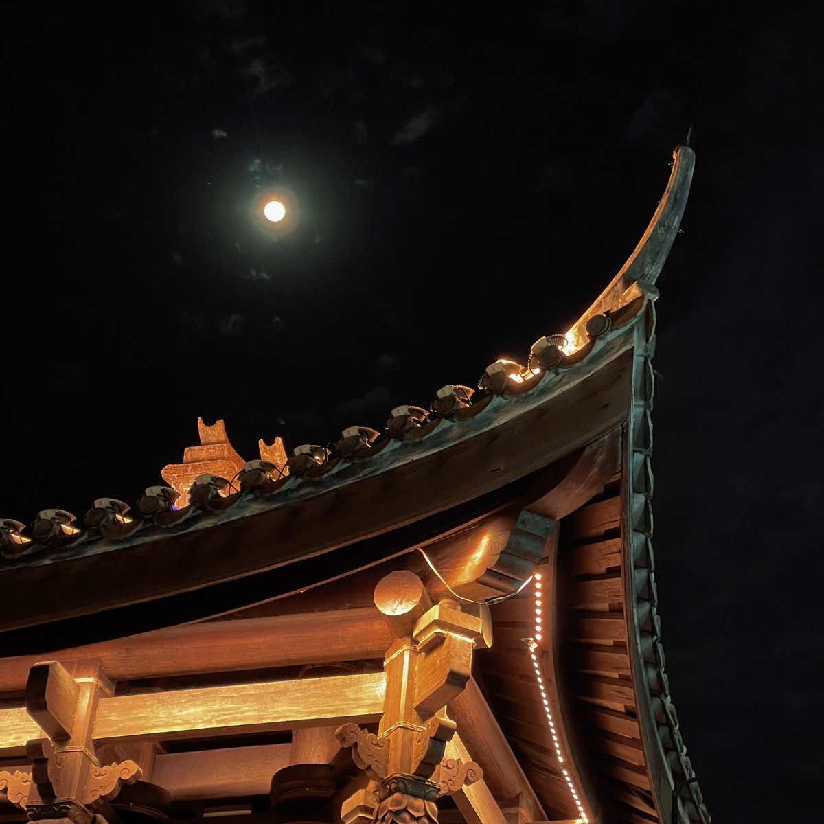 Gz7vO's tweet photo. 夜晚的广济桥和广济楼 https://t.co/dyXa4v3Pk0