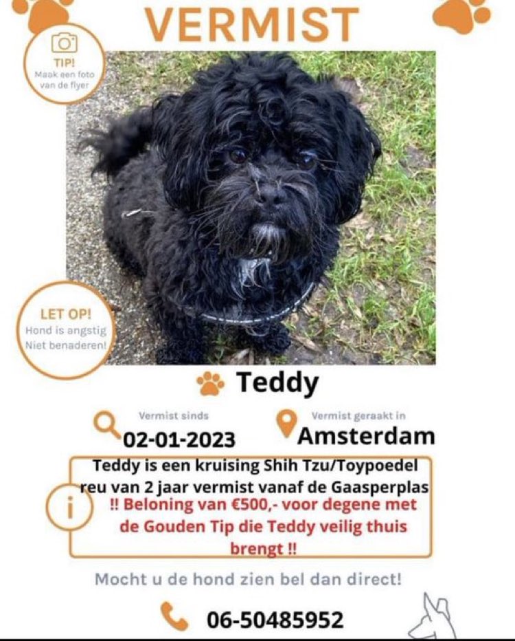 De nachtmerrie van iedere hondenbezitter. Hopelijk duikt Teddy snel ergens op!