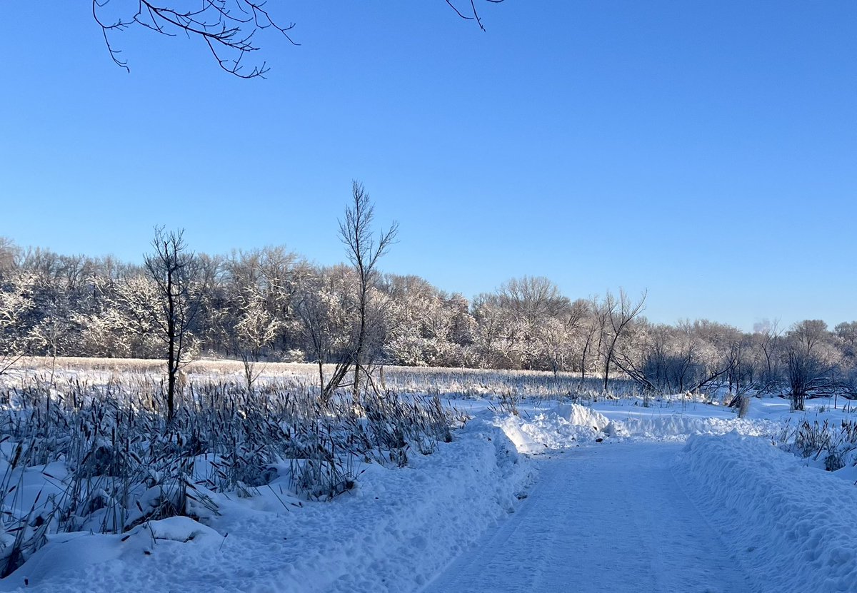 Terry Goeman tweet media