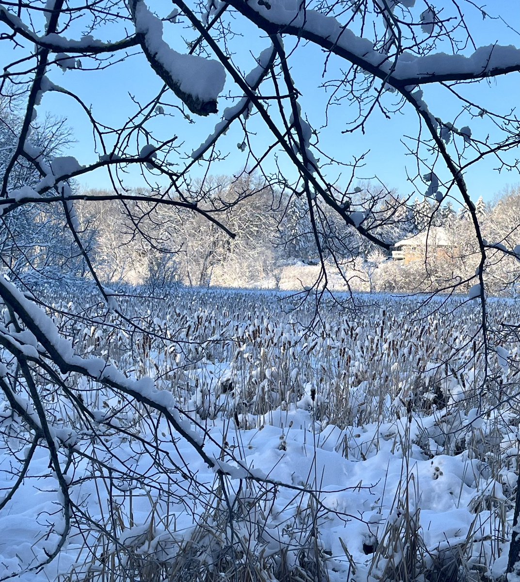 Terry Goeman tweet media