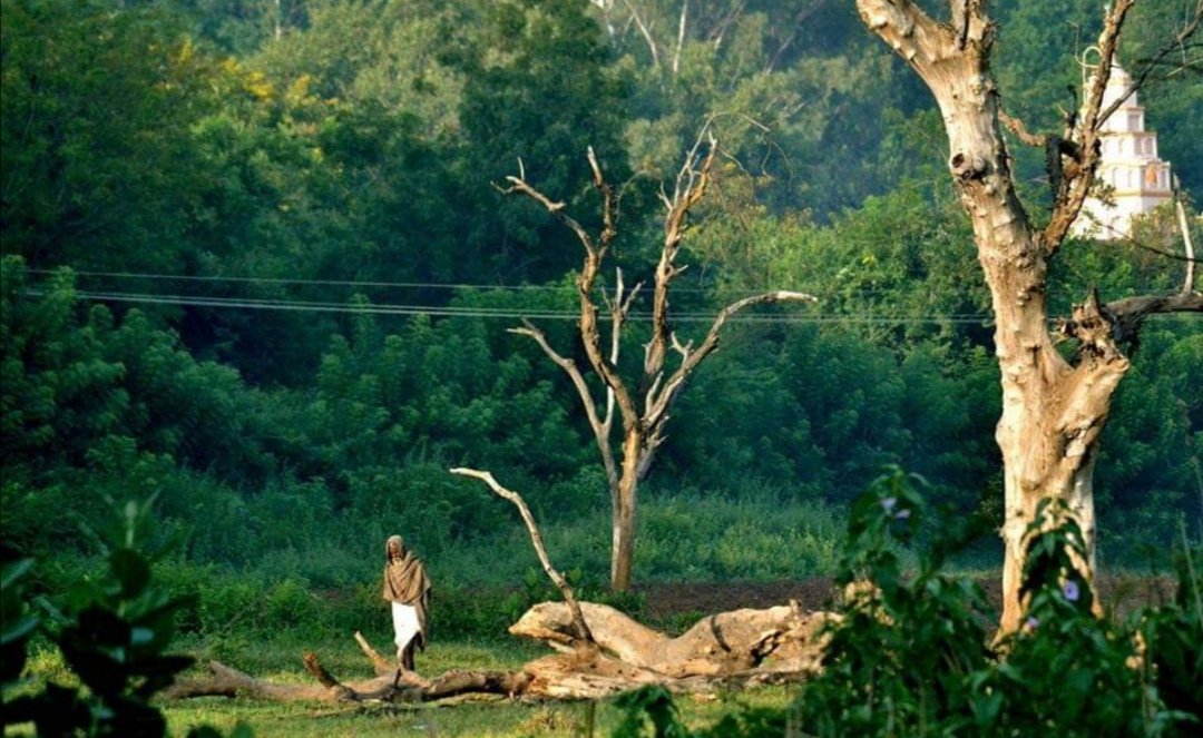ನೋಡು ಬಾ ನಮ್ಮೂರ