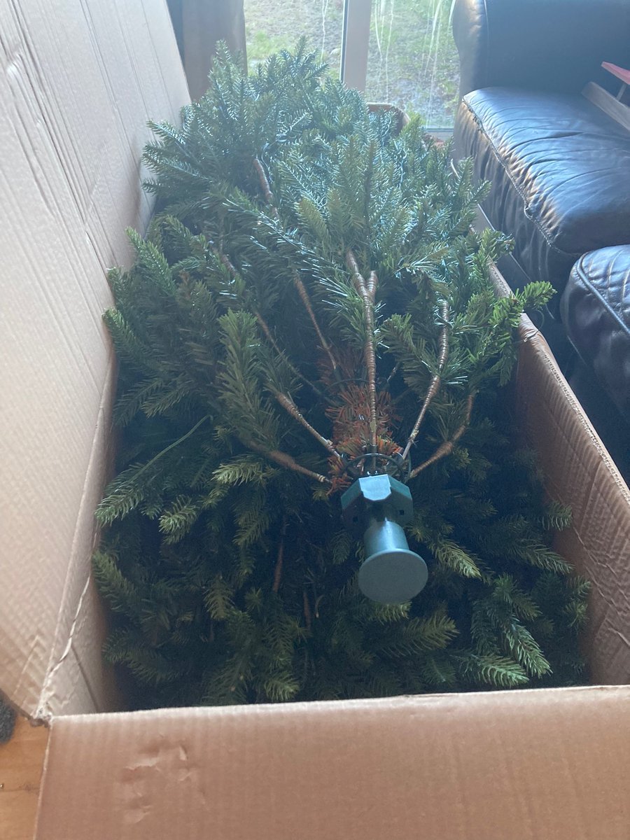 humphreys's tweet photo. #Christmas2022 Is finally over 🥳 just finnished #dechristmasing the house.
Although, I 💯 sure I'll still be finding stuff for the next month. https://t.co/KAMaOJcPv2
