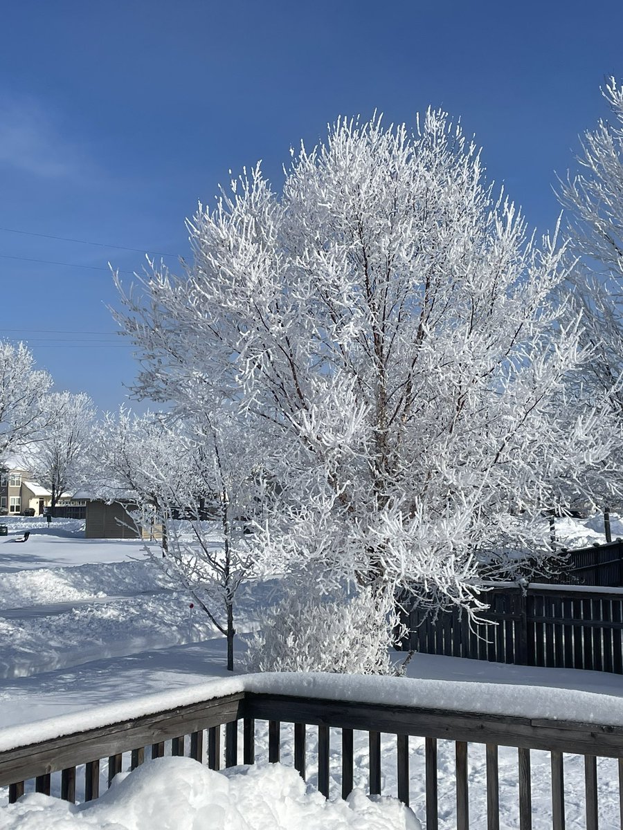 ChaskaBoosters's tweet photo. Happy winter. Get out and enjoy it. https://t.co/Dkfyid3oMk