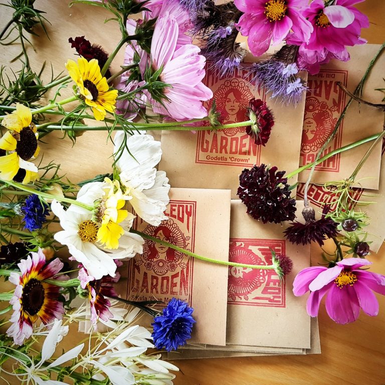 We don't send printed seed catalogues coz we are environmentally responsible......(put that in yer pipe and smoke it Fothergill!)
This puts us at a disadvantage to our competitors but you can find our collection online. Thank you. :) 
higgledygarden.com/shop/