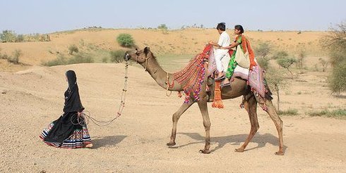 #Dhanak　'16
#Rainbow 　印映画
両親が亡くなり叔父さん夫婦と暮らす幼い姉弟。栄養失調で盲目となった弟の目を治すため、近くに撮影でやってきた大スターに会いに行くロードムービー。
姉パリの優しさと弟チョトゥの可愛らしさに心が洗われる映画だった。
#HetalGada #KrrishChhabria