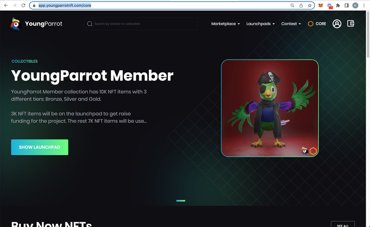 youngparrotnft's tweet image. ⚡️ CoreDAO testnet is live

Check it out at app.youngparrotnft.com/core 🥰

NFT creators can create collections, upload NFTs, and list for sell on YoungParrot. Buyers can buy NFTs with tCORE token. All the collections and items will be migrated to CoreDAO mainnet.

@Coredao_Org