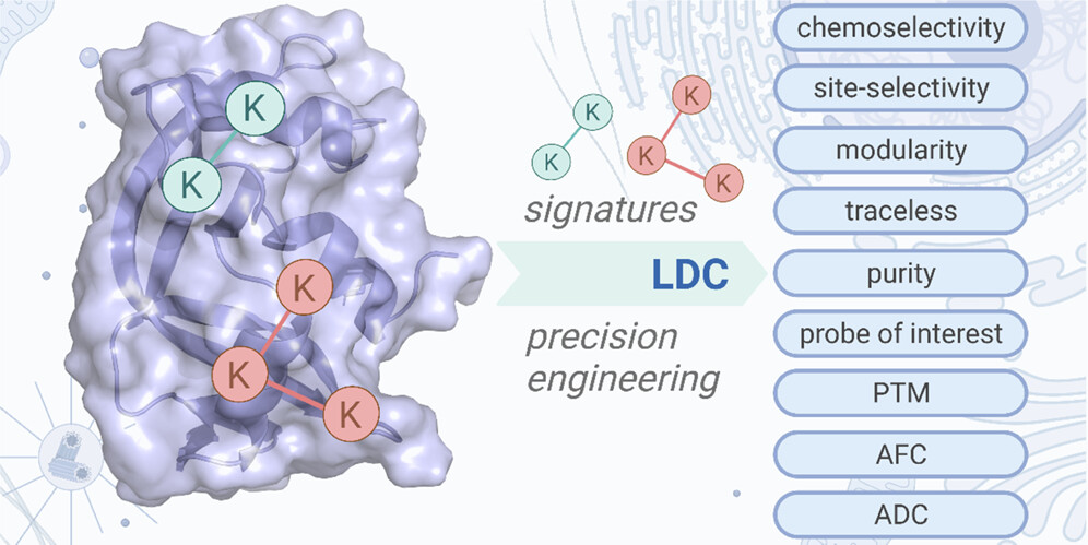 Bioconjugate Chem tweet media