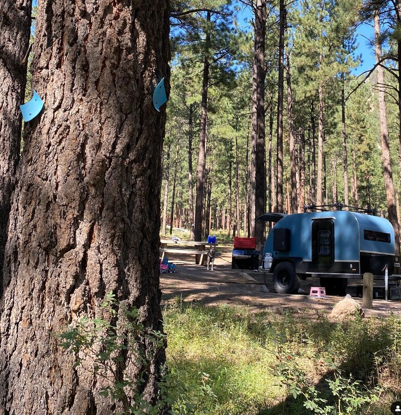 We can always count on Teardrop 4 Four for some great pics, this one from the Jemez Mountains!
.

#campbetter #wintercamping #coloradoteardrops #mycoteardrop #teardroplife #teardropcamper #teardroptrailer #offroadtrailer #campingdog #campingwithkids #jemezmountains #newmexico #NM