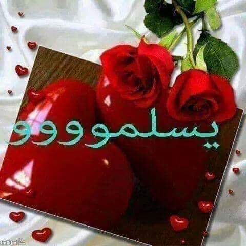 mh86653257's tweet photo. @MOHAMEDWAHBA999 https://t.co/krvfF0jTK5