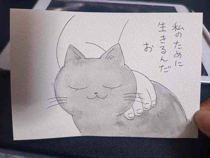 保護リスト(欲しいもの)のお礼ハガキ描いたのですが、お心あたりの方、DMくださいませ～!
アカウント名で見つからず💦 