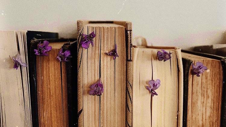 softvanne's tweet photo. ⊳ books I read in 2023; a thread https://t.co/goLRCxuyDl