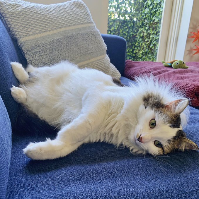 She&rsquo;s just chilling. Waiting for 2023 to lock into gear. https://t.co/iYk4z2aOwM<a href="/tag/hungrybuthorny"class="tags"><span>#hungrybuthorny</span></a>