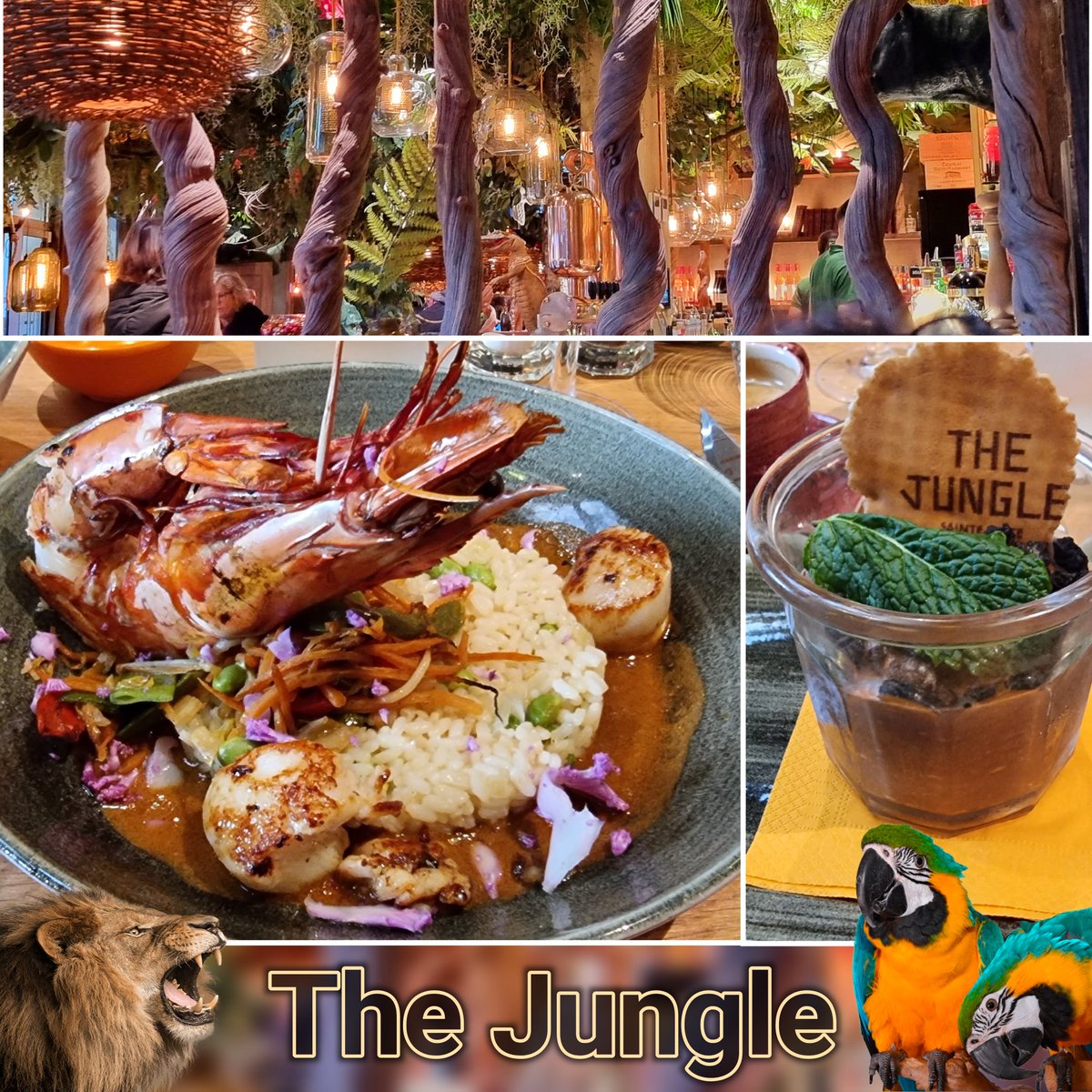 GroussinV's tweet photo. Ce midi, déjeuner entre amis au restaurant The Jungle, très agréable moment dans un cadre magnifique. 
#restaurant #bonneadresse #bonnetable #saintelucesurloire #sainteluce_maville https://t.co/paLvY4cDVM