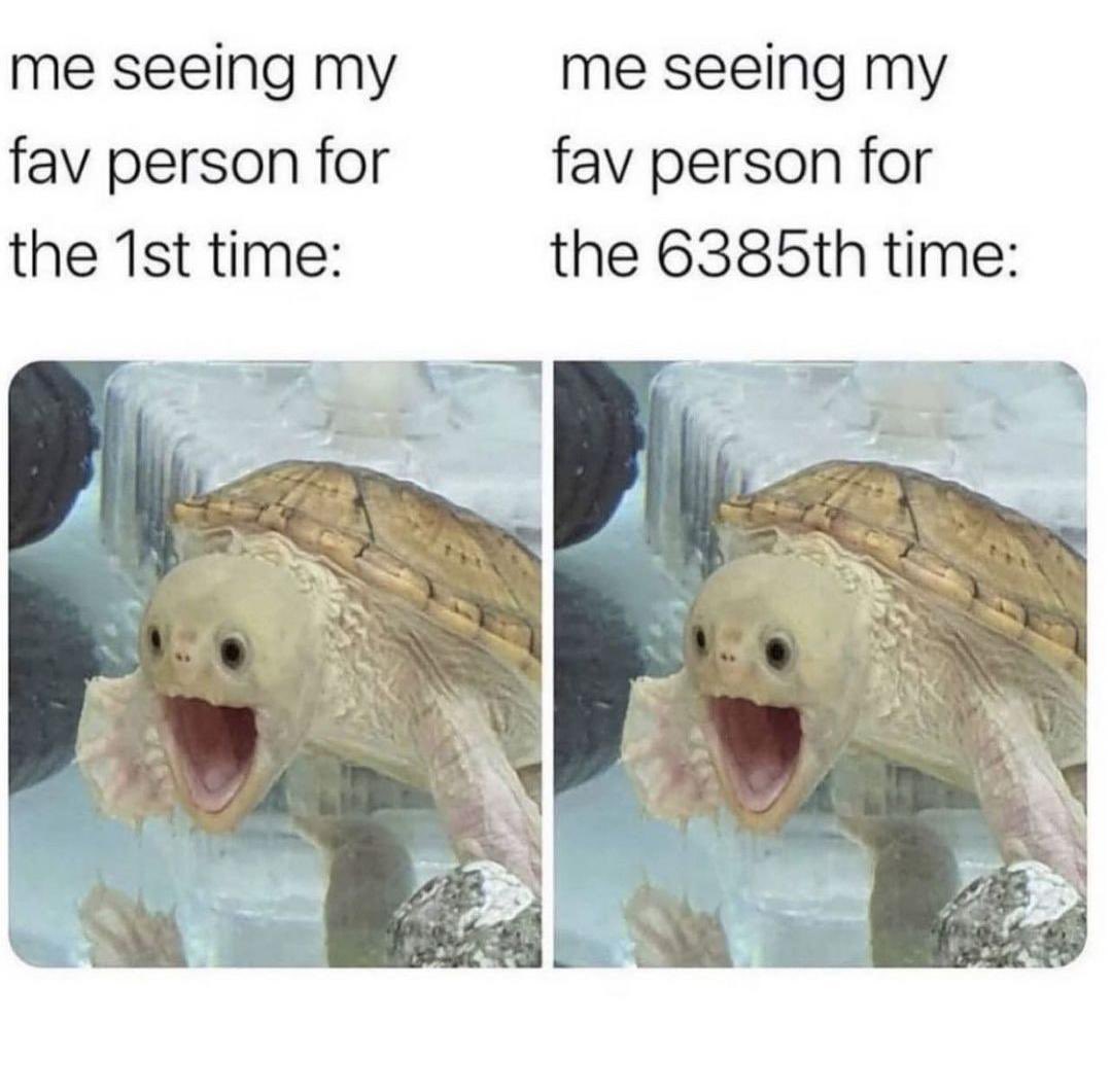 louiyongqin's tweet photo. detik detik bertemu ejay for the first time and im be like the turtle

#eaJ #eaJVisions #ThankyoueaJ @eaJPark https://t.co/qsY8xoh7a1