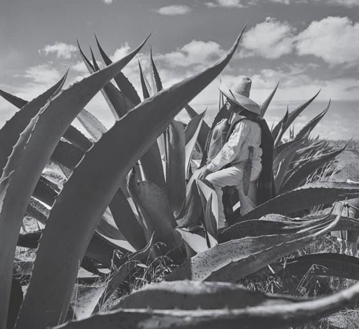 tihui's tweet photo. Juan Rulfo fotógrafo. Susan Sontag lo definió como el «mejor fotógrafo de Latinoamérica». https://t.co/RuWqM8StCA