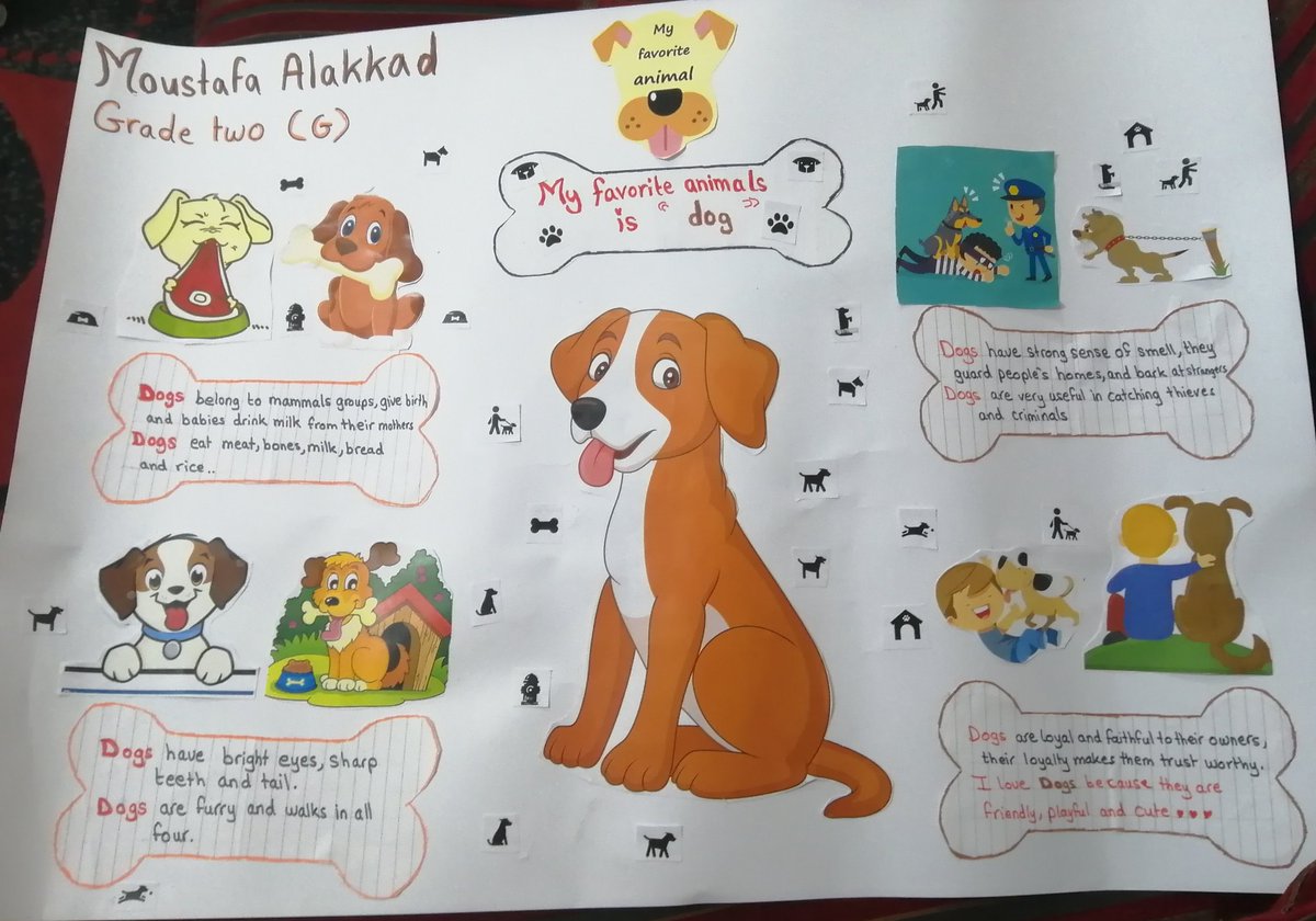DianaMatar2023's tweet photo. Moustafa Alakkad
Grade two (G)
My favorite animal
#Favorite
#favorite_animal
#school_project
@MakAishaSchool https://t.co/cTFxOdN6VU