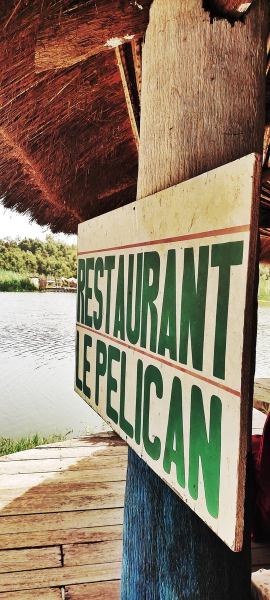 topazdecimal's tweet image. #RandomShots