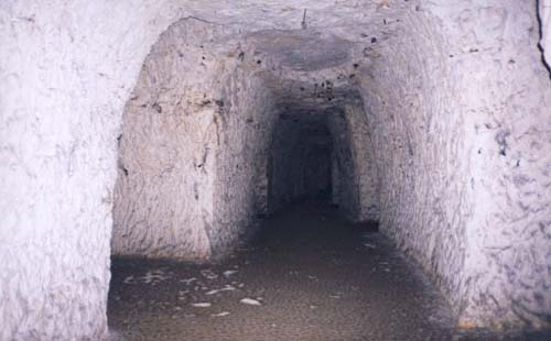 FarrSarahj's tweet photo. Here's an article I wrote on Chislehurst Caves which inspired my horror novel, Enter the Darkness. You won't believe what's down there👻👻🕷️🧙‍♀️🪄 #ghosts #haunted #caves #chislehurst
https://t.co/XpbhOcsJlu https://t.co/homTXtRNWQ
