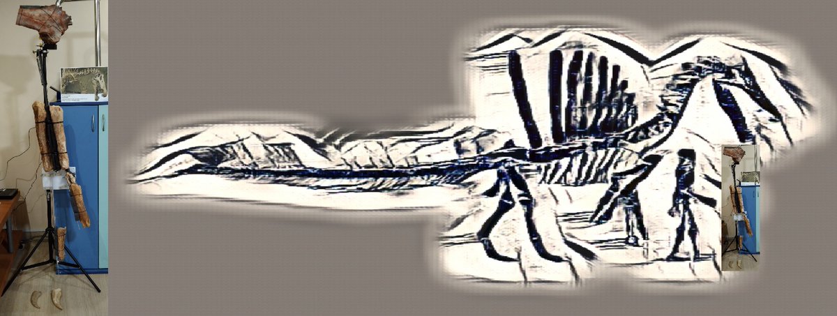 Under rebuild the limb bone of Spinosaurus dorsojuvencus from various composite material (not in size). The height of this arm is about the size of adult.