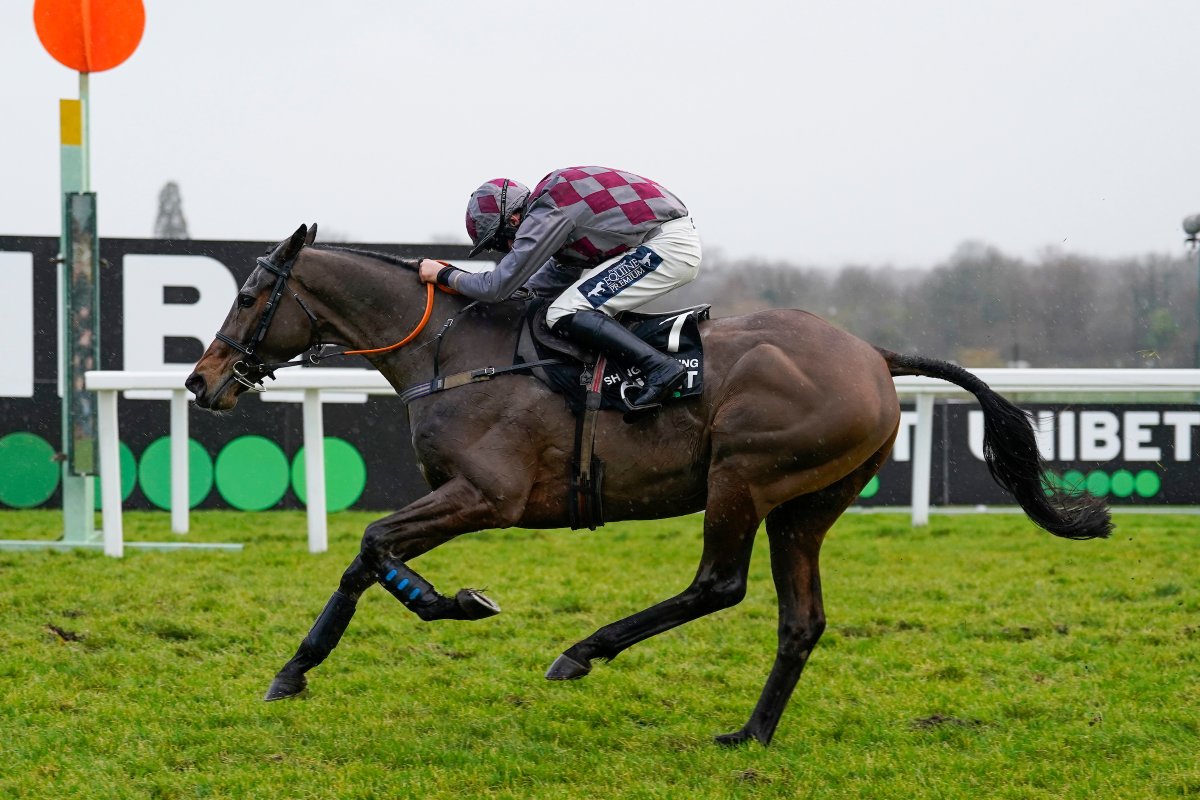 Sandown Park tweet media