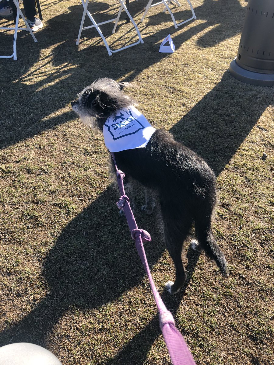 Ryleigh is ready for another 5K! #PetSmartCharities #AzFamily