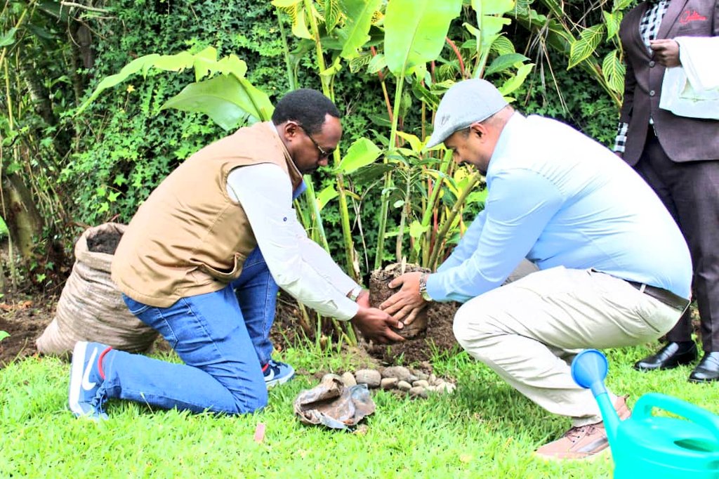During this visit they also planted fruit trees (Lemon, Mango &amp; Avocado) in the garden of  <a href="/FiveVolcanoes/">Five Volcanoes Boutique Hotel</a> as a souvenir. Both sides expressed their satisfaction on the partnership between the District and Enabel. Thus, they reiterated continous mutual partnership &amp; collaboration.