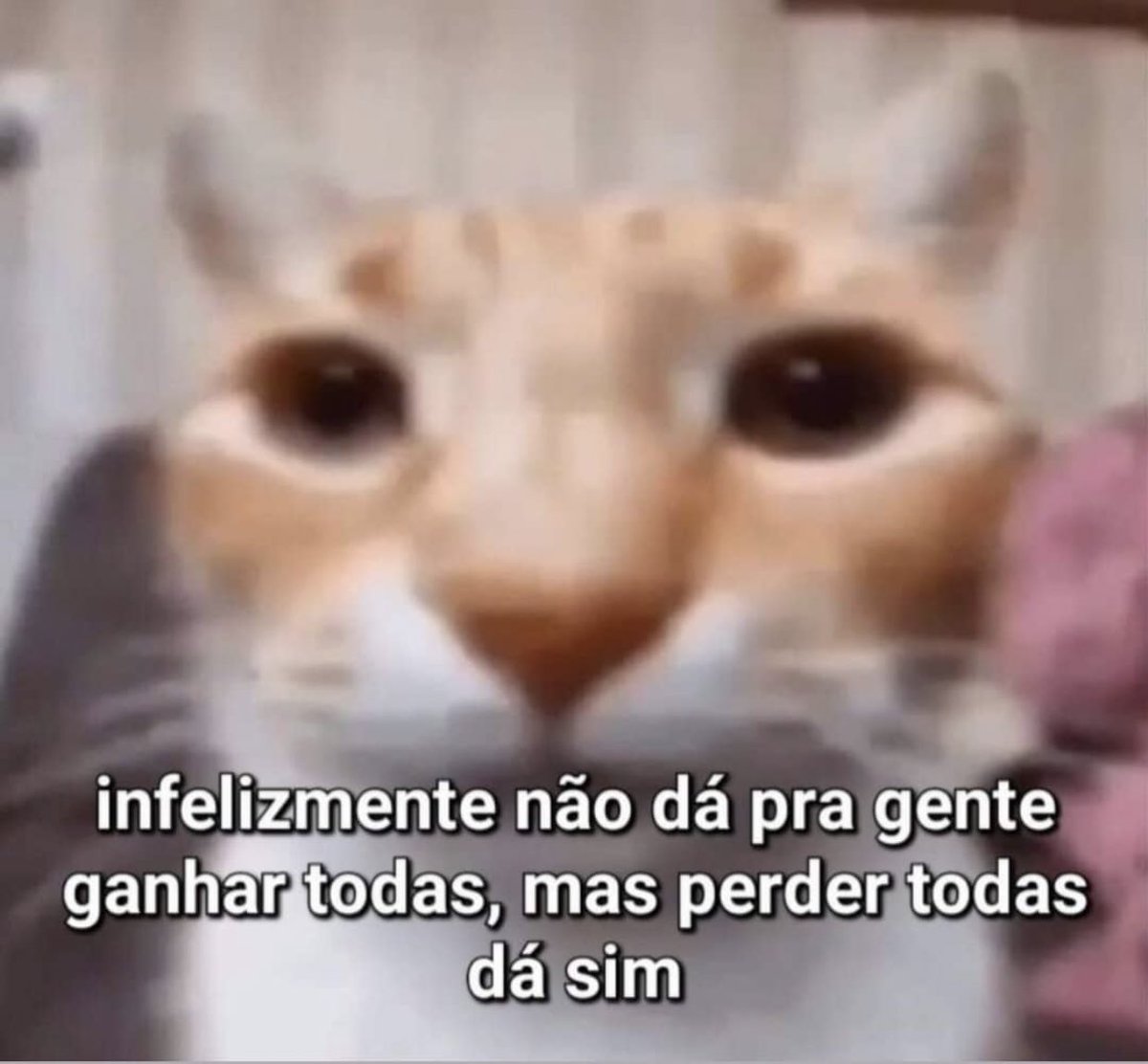 _vgarcia1's tweet photo. @shitpostverdade https://t.co/ByxnumdeW4