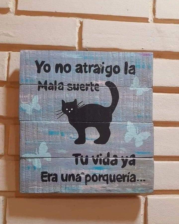 Yo no traigo mala suerte 😺❤️