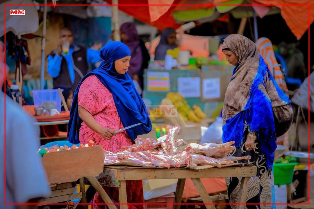 cabdiraxmanmid's tweet photo. In Somaliland, #SmallBusinesses are the main #generators of the #MoneyCirculation that drives the market. 

Somaliland, qanacsatada yaryar ayaa doorka u weyn ka geysata qulqulka lacagta ee suuqa ganacsiga. https://t.co/5I3E8r0oEH