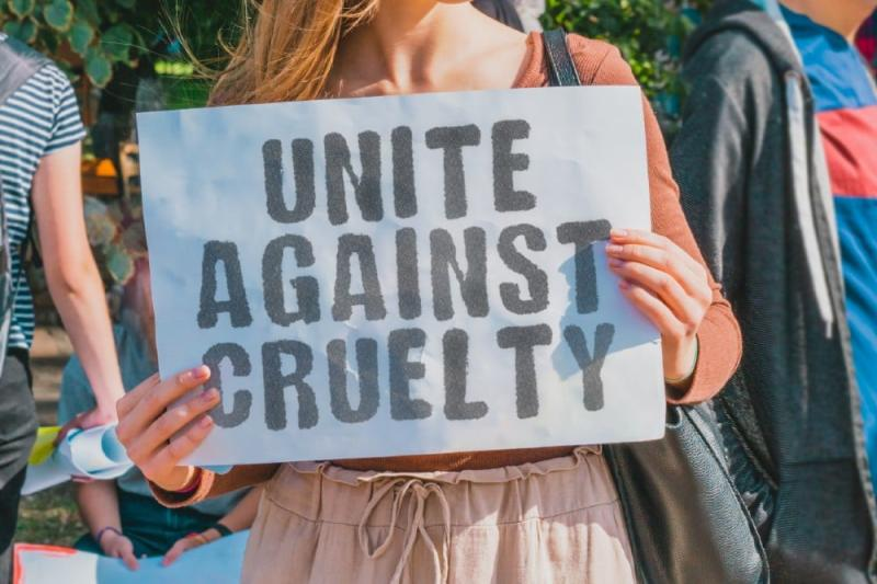 marillion13's tweet photo. LOCAL LAWS &amp; GRASSROOTS ACTION CAN LEAD TO STATEWIDE CHANGE FOR ANIMALS. Thanks to all the activists, as #MultipleDisabled #LupusSurvivor on #SocialSecurity I can only help by online posts. 
But #SharingIsCaring too.
😽😽😽🐶🐶🐶💖💖💖
https://t.co/z7XMGjCPaX
@LadyFreethinker https://t.co/uLOJ3EKdpt