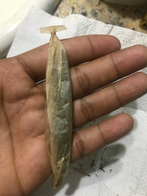 Foto enviada por seguidor 🍁