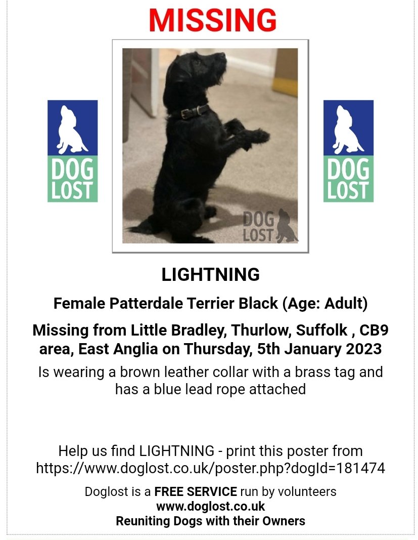 Missing Pets GB tweet media
